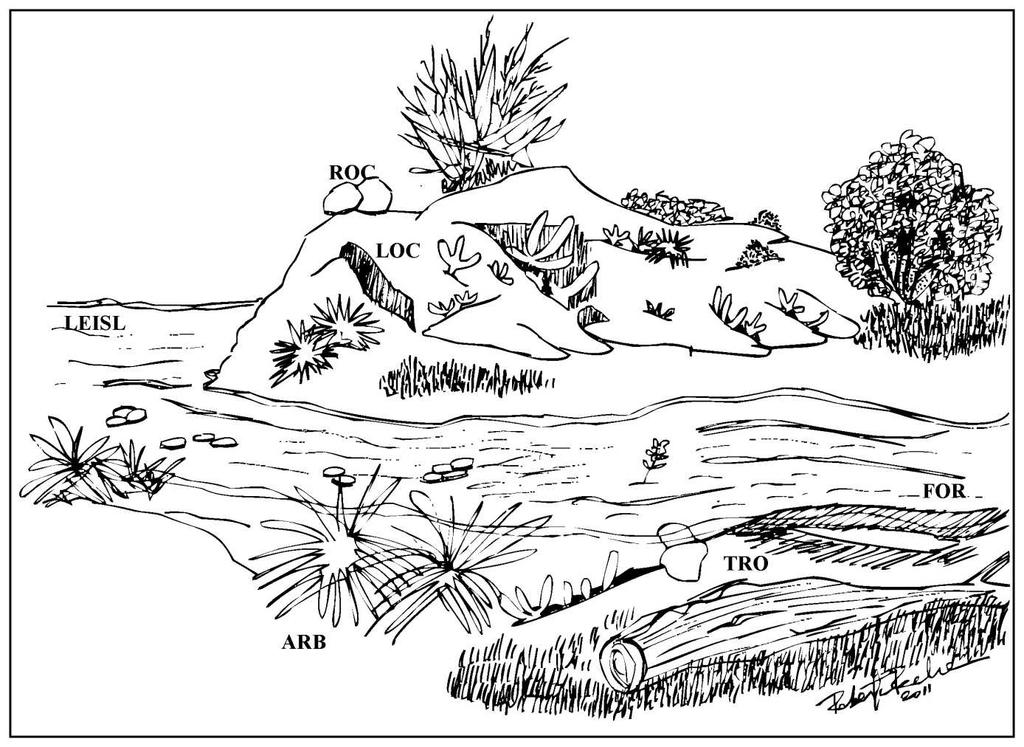61 Figura 2.5: Afloramento rochoso hipotético mostrando os seis locais escolhidos pelas espécies como habitats de sobrevivência durante o período seco.