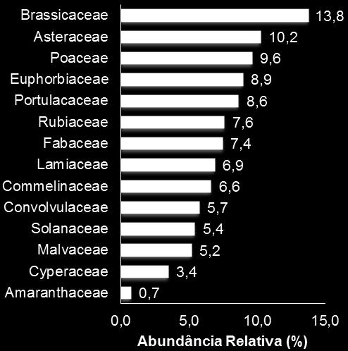 As famílias Poaceae e Asteraceae abrangem mais de 50% das espécies de plantas existentes no mundo (Holm et. Al., 1997), o que pode explicar os maiores índices de importância observados (acima de 74%).