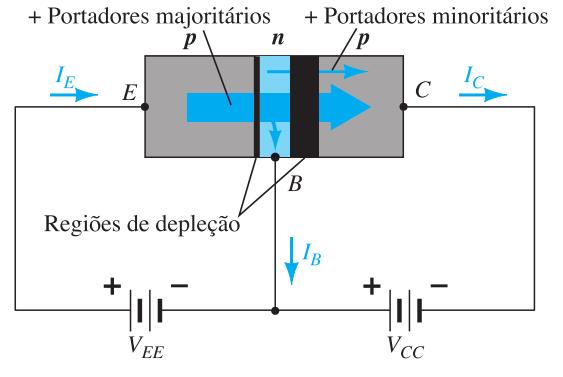 Transistor Estrutura Interna Funcionamento Convenção: Sentido da corrente = fluxo de lacunas Base é muito estreita e