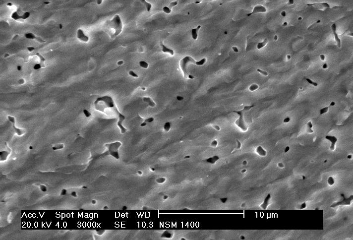 Micrografias obtidas por MEV: Pó (a) e Sinterizado a 1400 C (b).