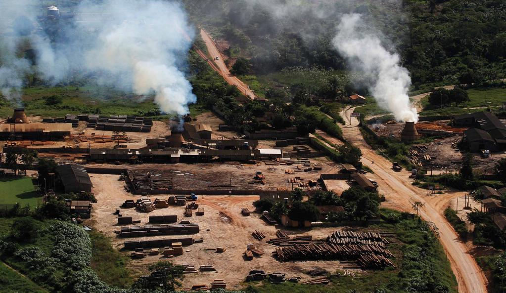 [página seguinte] Madeireira no município de Uruará, onde se situam muitas das madeireiras que recebem madeira
