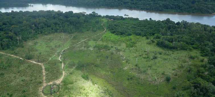 Sudoeste: FES do Iriri e TI Kuruáya Do ponto de vista geográfico, a região sudoeste do mosaico é das mais vulneráveis da Terra do Meio, equiparável apenas à região da APA Triunfo do Xingu.