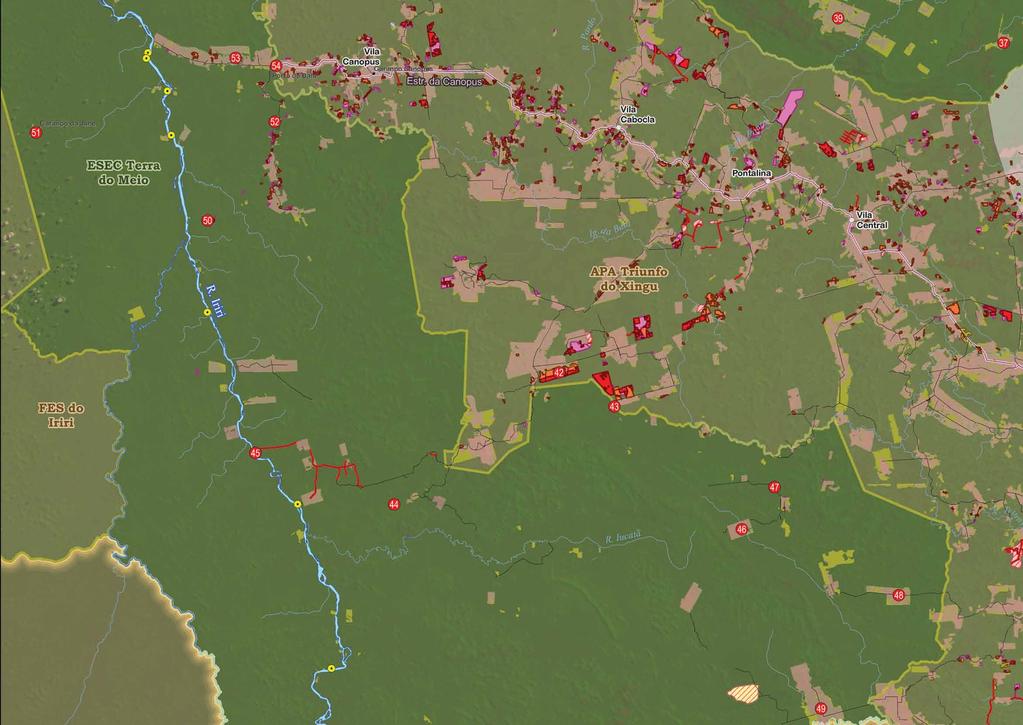 A Esec apresenta evolução positiva dos indicadores de pressão desde sua criação, em 2005, quando o desmatamento ultrapassava os 15.000 hectares/ano.