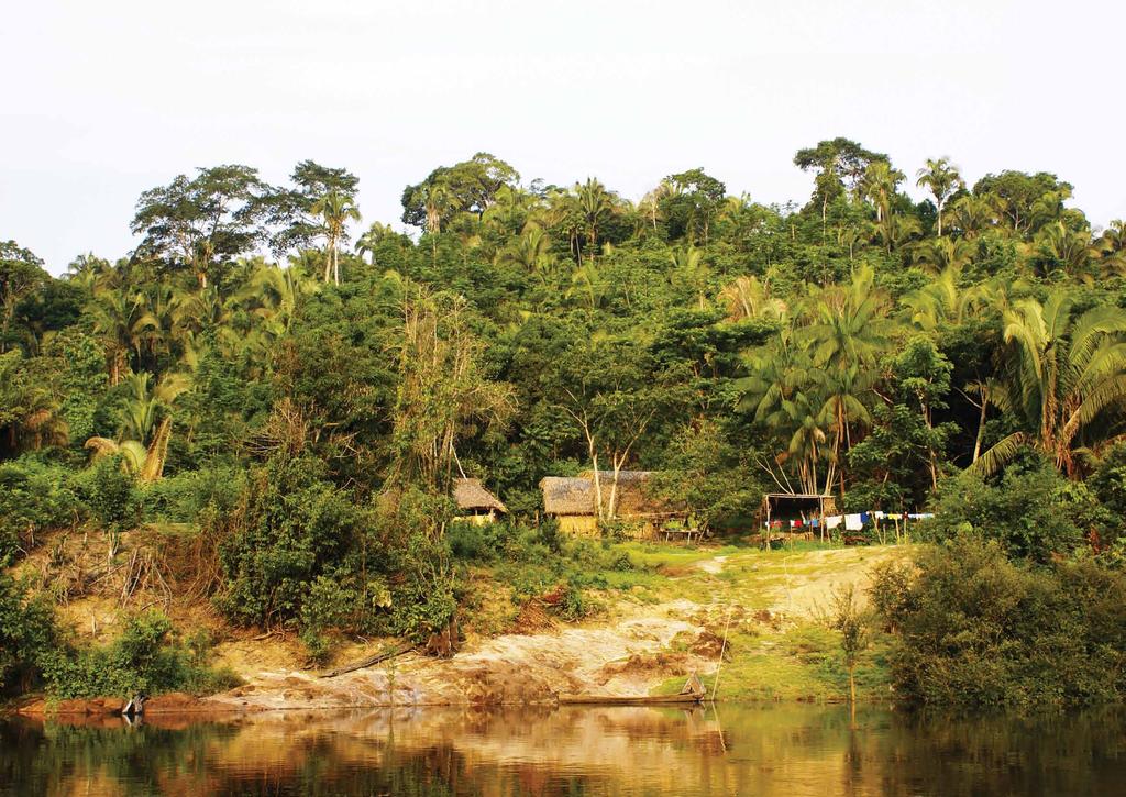 Apresentação Moradia ribeirinha na localidade Triunfo, na reserva extrativista (Resex) Rio Iriri. Marcelo Salazar/ISA, 2006. Panorama do rio Xingu visto do Parque Nacional da Serra do Pardo.