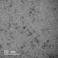 obtidos revelam que as nanopartículas apresentaram um diâmetro médio de 2,96 nm, o que é coerente ao encontrado pela Eq. (3,31 nm).