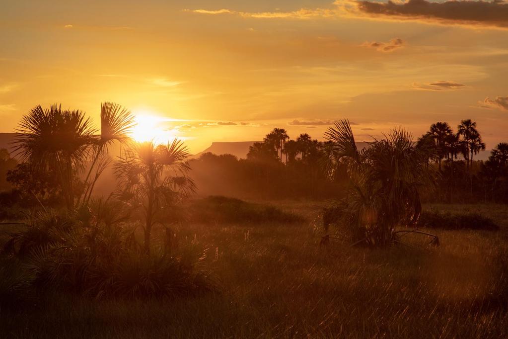 DIA A DIA 3 DIA 02/10 São Félix / Mateiros Bem cedo sob a luz da alvorada, fotografaremos o fervedouro da Bela Vista e suas límpidas águas, uma oportunidade única em nossa expedição, em seguida