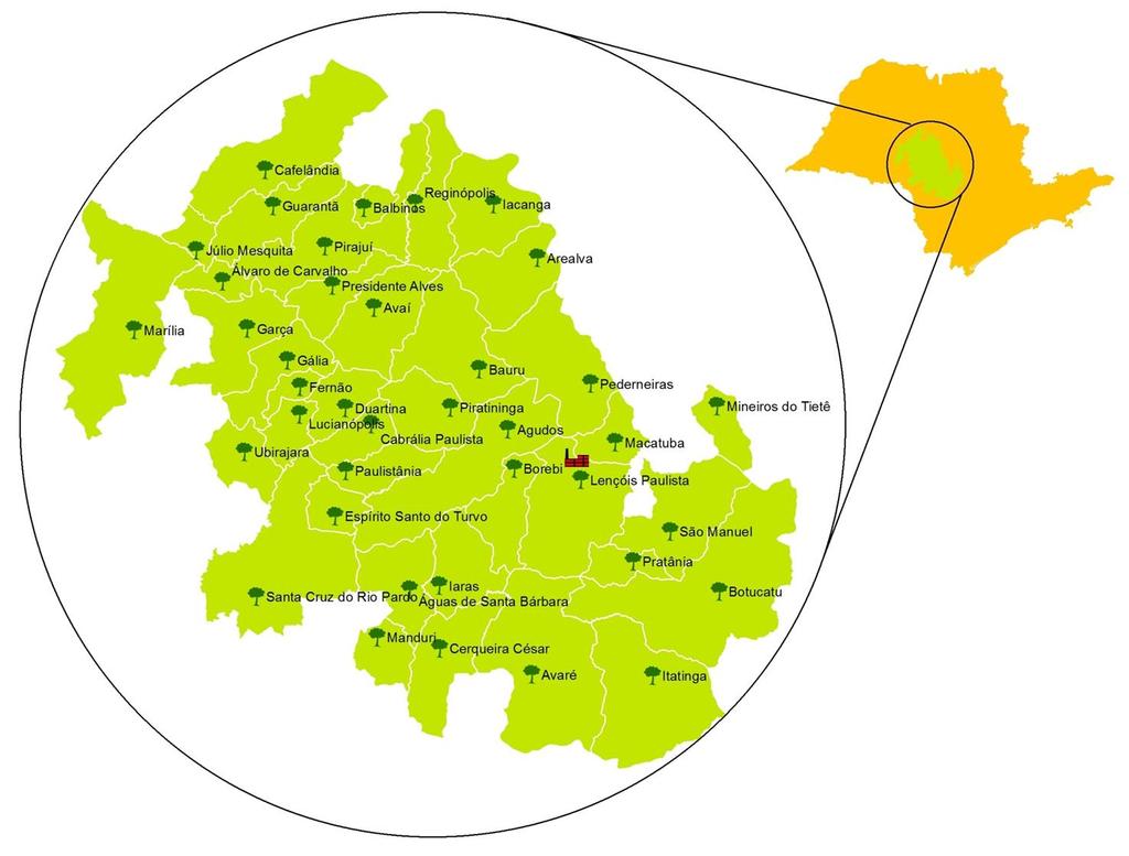 Localização das Florestas 40