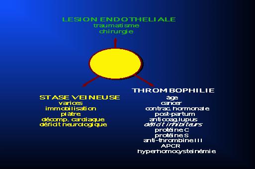 FISIOLOGIA DOS DISTÚRBIOS VENOSOS TROMBOSE VENOSA Tríade de Virchow