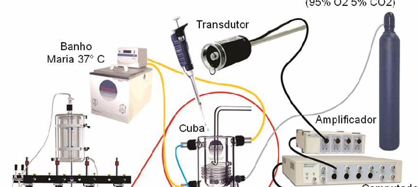 37 Figura 4. Sistema utilizado nos experimentos de contratilidade in vitro em aorta de rato.