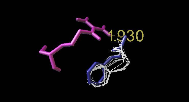 78 Figura 24. Interação do 1-nitro-2-feniletano com a enzima guanilato ciclase solúvel com NO complexado para a terceira etapa de docking.