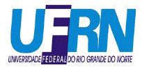 UNIVERSIDADE FEDERAL DO RIO GRANDE DO NORTE Jenielly de Noronha Ferreira de Castro PERFIL DE