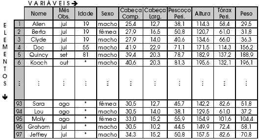 Figura 2: Representação parcial da planilha de dados do exemplo dos ursos. A planilha de dados é composta por linhas e colunas.