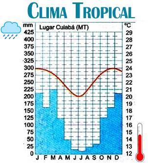 A NATUREZA DO BRASIL: O CLIMA Brasil Clima Tropical: