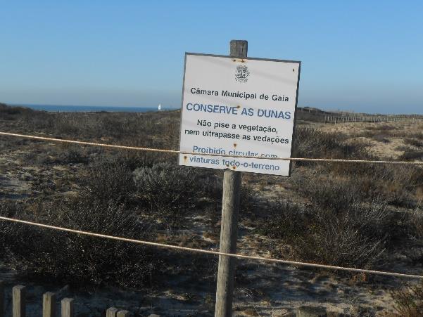 As características do ecossistema dunar, nomeadamente da flora dunar