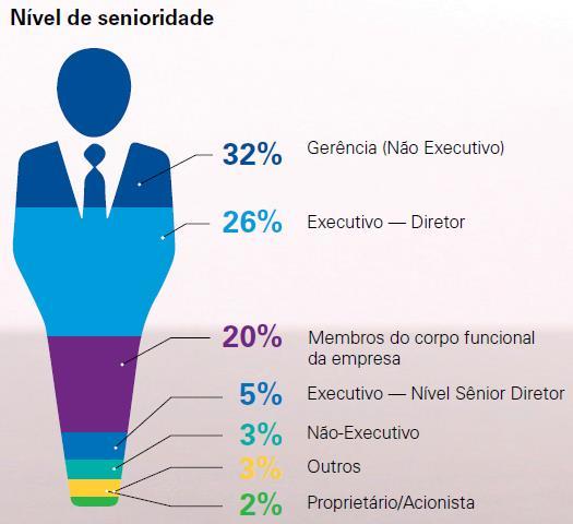 Nível de Senioridade Fonte: Perfil global