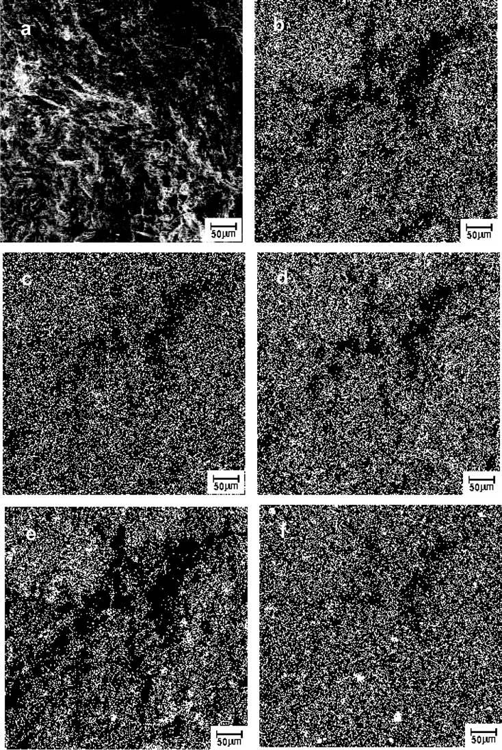 19 F. A. N. Silva et al. / Cerâmica 52 (2006) 15-21 Figura 5: Micrografias obtidas por MEV da cerâmica sem resíduo oleoso inertizado queimada a 1100 C.