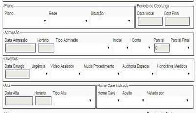 Por exemplo, preencher campo da seguinte maneira: Se é uma conta única: Inicial: 1- Sim; Conta: 1-Total.