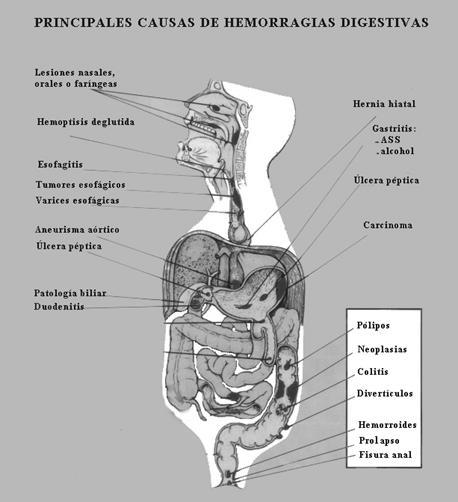 Assistente da Disciplina de Cirurgia Plástica da Faculdade de Medicina do ABC SP Médico Responsável pelo Departamento de Microcirurgia do Hospital de Ensino da