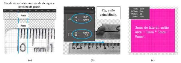 Figura 3 (a) Conferência Escala, (b) Conferência Escala, (c) Quantidade pixels num quadrado Realçado os tons de cinza e preto para evidenciar as