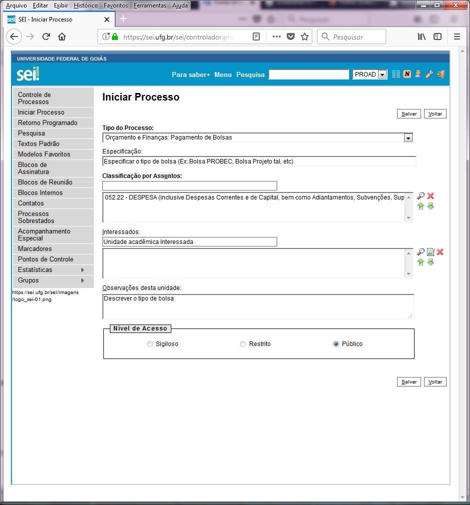 Na tela seguinte: Especificação: Especificar o tipo de bolsa / pagamento PF (Exemplo: Bolsa Monitoria Goiânia) Classificação por Assuntos: Não Alterar Interessados: Nome da Unidade Acadêmica,