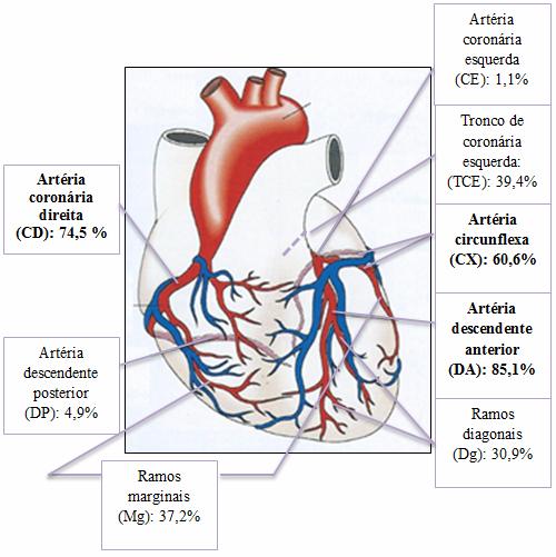 68 R e s u l t a d o s Figura 1. Frequência das artérias afetadas da amostra de 105 participantes, São Paulo - 2013 Fonte da figura (coração): Smeltzer SC, Bare BG.