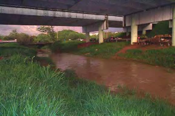 Preto, SP após chuva ocorrida na área de