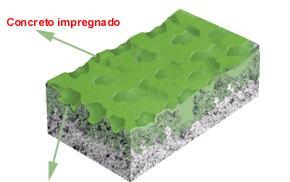 As preocupações com o desempenho ambiental das organizações forçou o aparecimento de normas que ajudem as empresas a controlar o impacto das suas atividades no ambiente que as rodeiam.