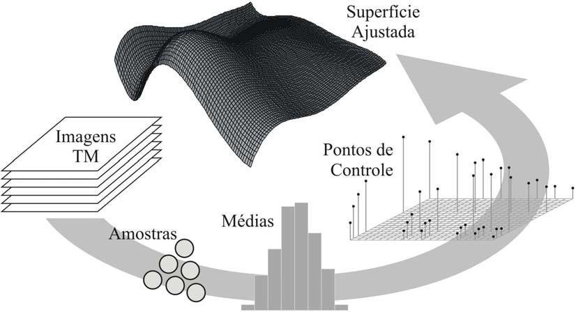 foram utilizadas na interpolação de superfícies de tendência polinomiais levando-se em conta a assinatura espectral média da classe no tempo. A Figura 3.