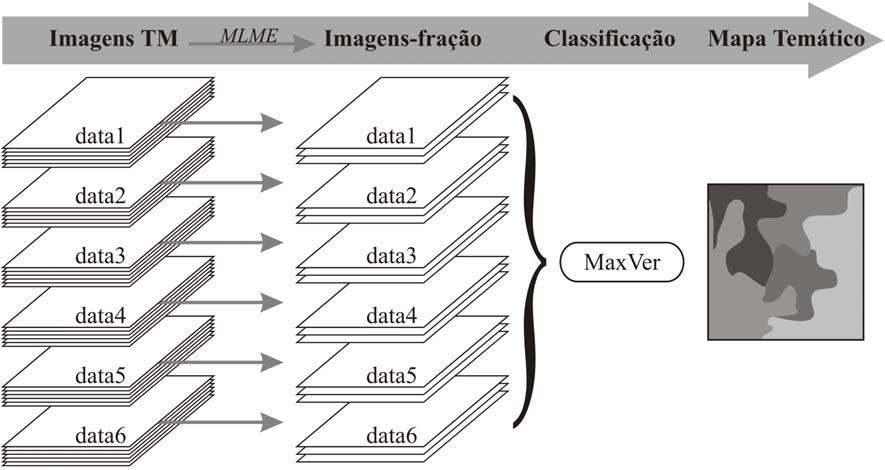 longo da série temporal. A metodologia utilizada na C5 é como mostrada na Figura 3.