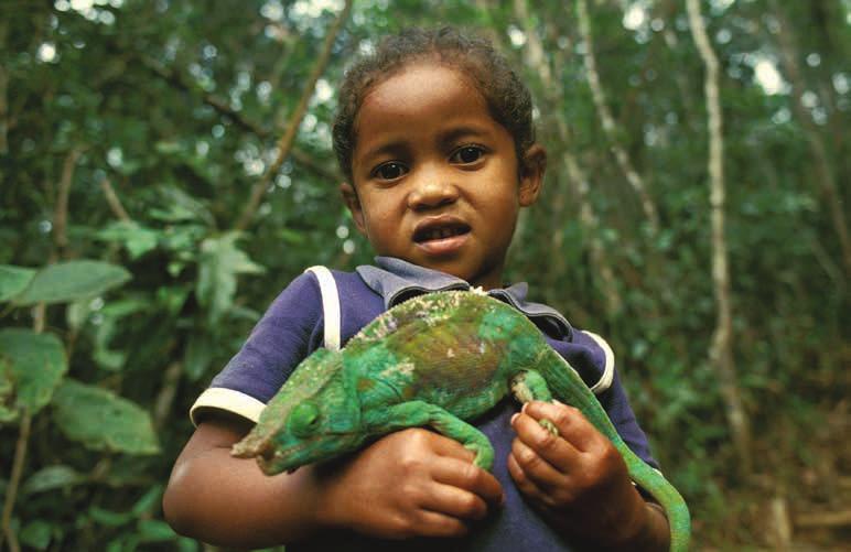 Alguns dos animais de Madagascar: Fotos Haroldo Castro / Conservação Internacional Em uma das reservas da ilha, a criança segura um réptil. Camaleão típico de Madagascar.