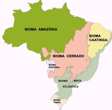 6 Figura 1: Mapa da distribuição geográfica do cerrado nos estados brasileiros Fonte: IBGE (2004) Um estudo da EMBRAPA e CIAT (Centro Internacional de Agricultura Tropical) identificou cerca de 25