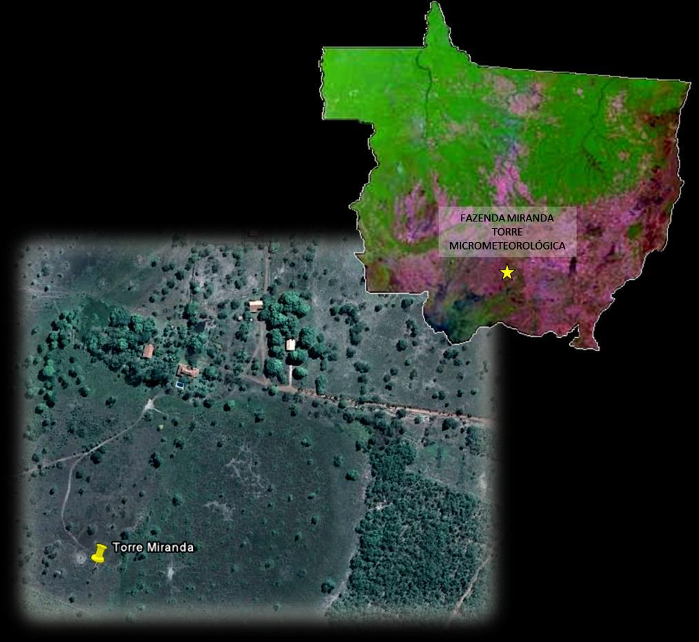 48 Figura 19: Mapa do Estado de Mato Grosso com a localização da área de estudo. Fonte: Google Earth (adaptado). O município de Santo Antônio do Leverger possui uma área de 11.753,58 km 2.
