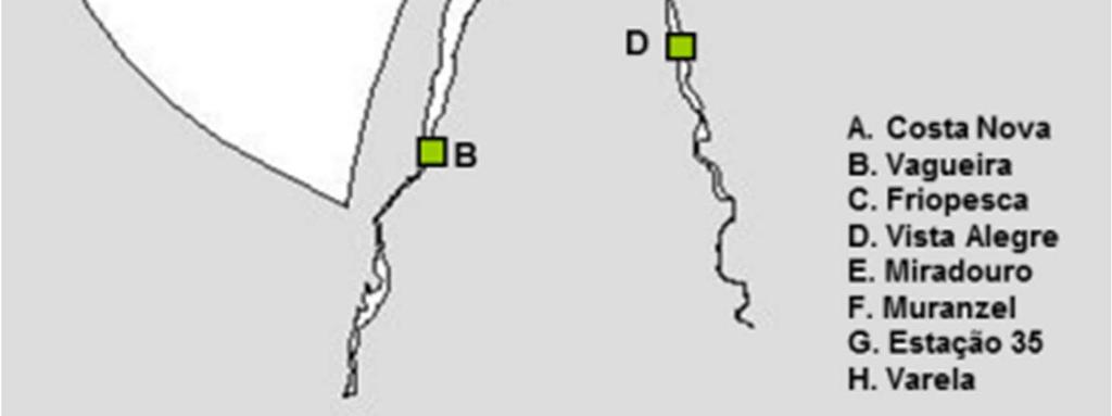 Nas zonas periodicamente inundadas pela maré, o coeficiente de Manning foi definido com base na experiência anterior de aplicações a este sistema (Dias e Lopes, 2006; Oliveira et al., 2006).