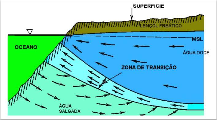 23 Figura 2.3 Seção transversal vertical mostrando os padrões de fluxo de água salina e água doce em um aqüífero costeiro não-confinado.