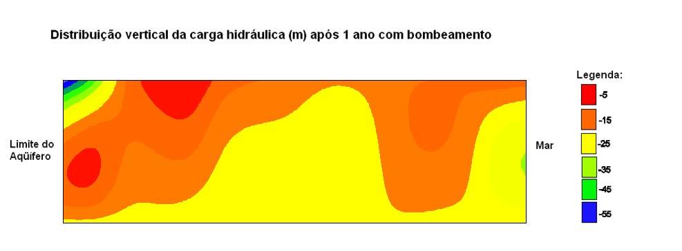 76 Figura 5.7 Distribuição da carga piezométrica inicial gerada pelo modelo matemático.