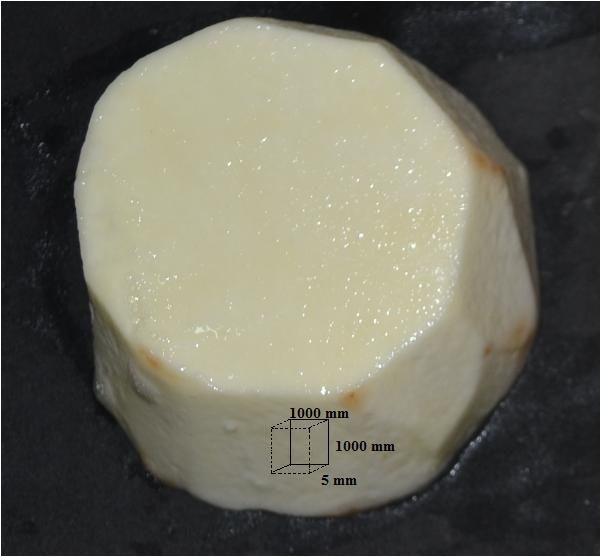 Figura 2. Secções de rodelas de tubérculo de inhame. O retângulo pontilhado 1000; 1000 e 5 mm representam a amostragem feita para realizações das análises laboratoriais.