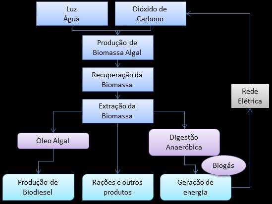 DEQUI / UFRGS Amanda Pérez Klein 5 2.2 Produção de microalgas Para produção de microalgas fotossintéticas é necessário fornecer luz, dióxido de carbono e nutrientes (Brennan e Owende, 2010).