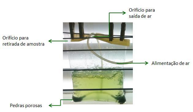 16 Avaliação de diferentes fotobiorreatores para cultivo de microalgas Figura 3.