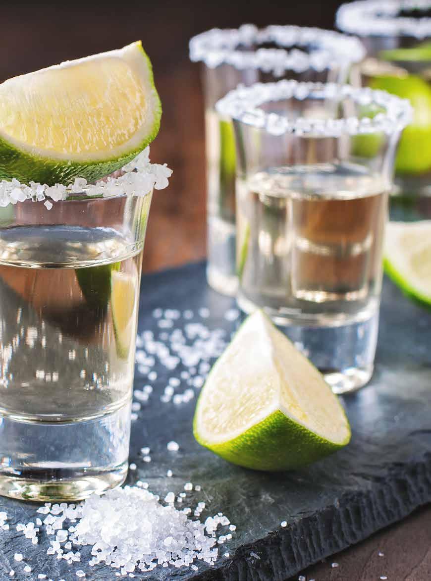 TEQUILA, MEZCAL E PISCO