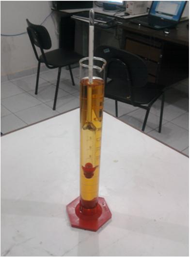 A Figura 15 mostra a foto de uma amostra de gasolina em procedimento do teste de