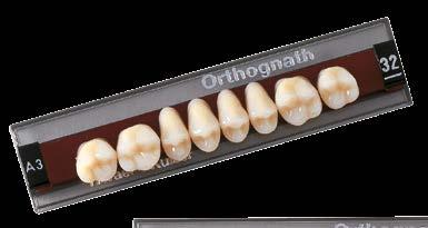 de ângulo de cúspide nos dentes posteriores: 28º (Orthognath) ou 0º (Orthocal); Maior área