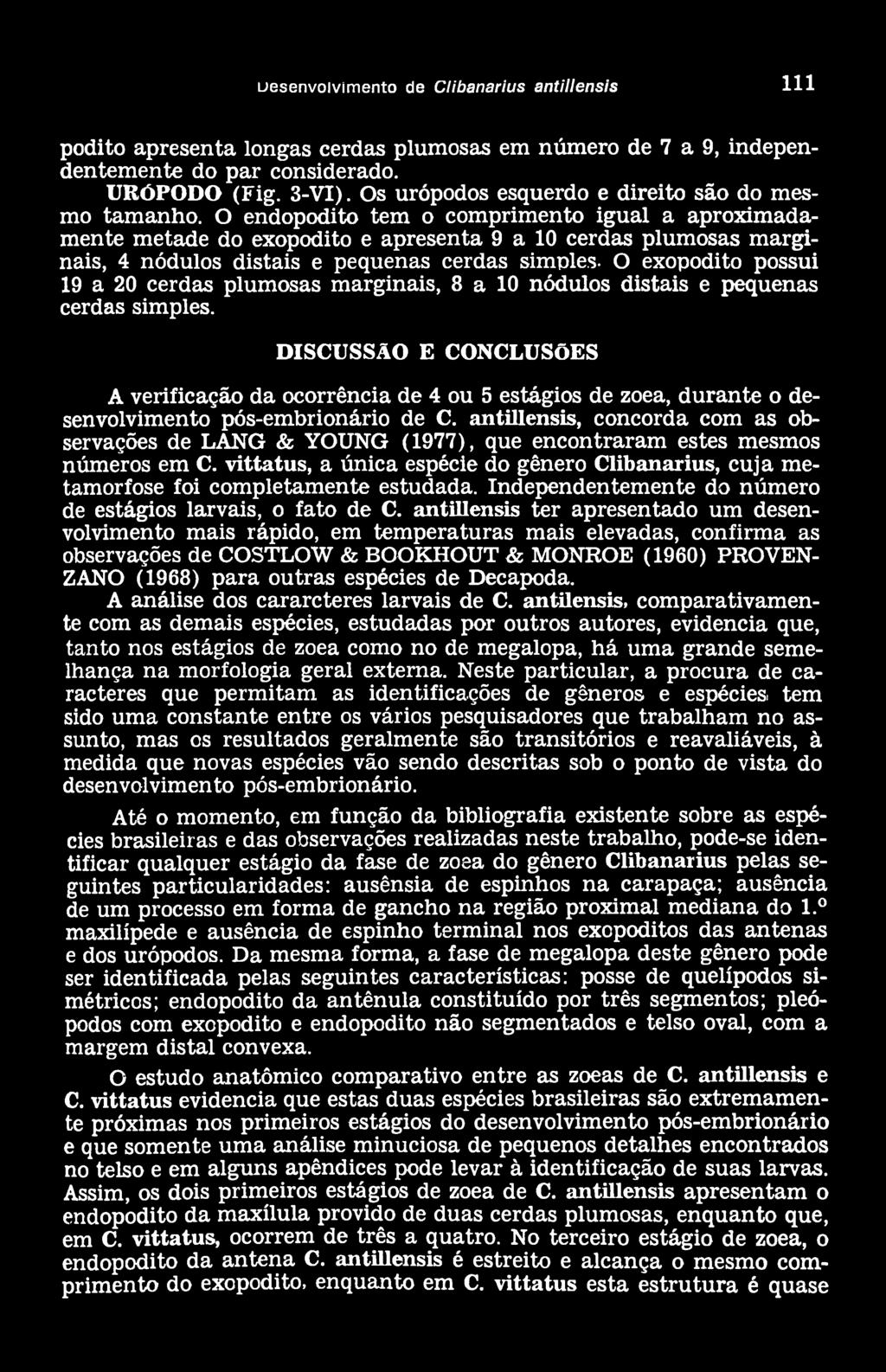 uesenvolvímento de Clibanarius antillensis 1 1 1 podito apresenta longas cerdas plumosas em número de 7 a 9, independentem ente do par considerado. URÓPODO (Fig. 3-VI).