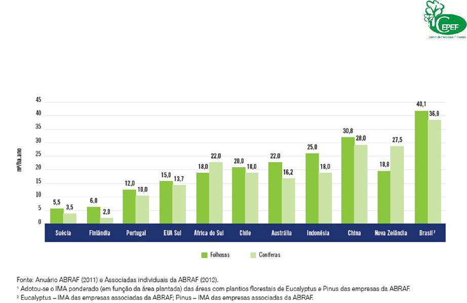 Comparação da produtividade florestal de coníferas