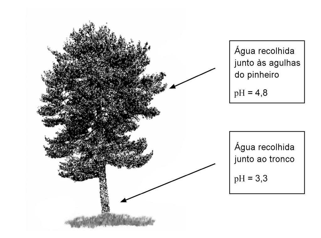 2.5. No âmbio de um projeco sobre chuva ácida, foram medidos, a uma mesma emperaura, os valores de ph de duas amosras de água da chuva: uma amosra da água que pingava das agulhas de um pinheiro e