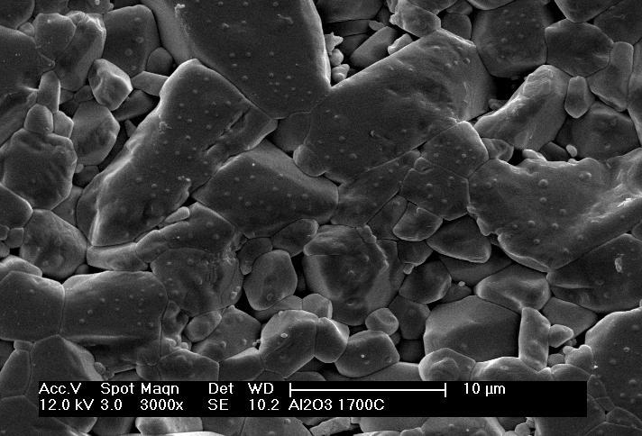 Dureza e tenacidade à fratura As amostras de micro-nanocompósitos e alumina sem inclusões sinterizadas a 1600 C e 1700 C apresentaram valores de dureza