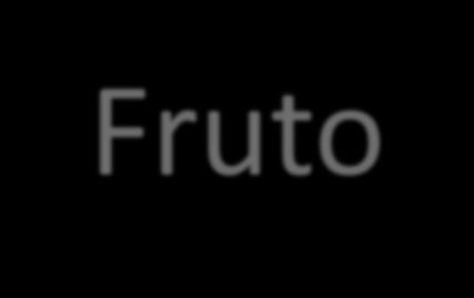 Fruto