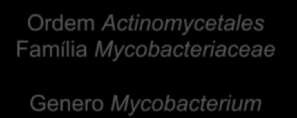 Ordem Actinomycetales Família Mycobacteriaceae Genero Mycobacterium Aproximadamente 172 espécies e 13