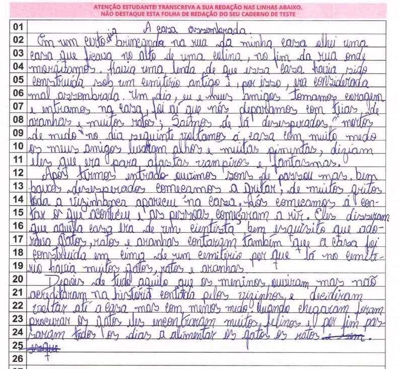 Com relação à abordagem do tema e à organização da narrativa, pode-se considerar que o aluno realizou a tarefa de maneira razoável, construindo uma narrativa que, apesar de não apresentar uma