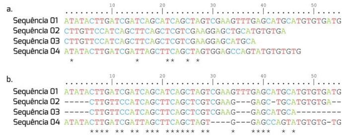 25 duas ou mais sequências de nucleotídeos ou de aminoácidos (organizadas nas linhas do alinhamento), sem, no entanto, alterar a ordem dos caracteres presentes nessas sequências.