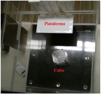 30 Figura 2. Divisória e cubo dentro da câmara experimental. Câmara experimental confeccionada em acrílico transparente sobre um piso preto contendo 9 luzes led.